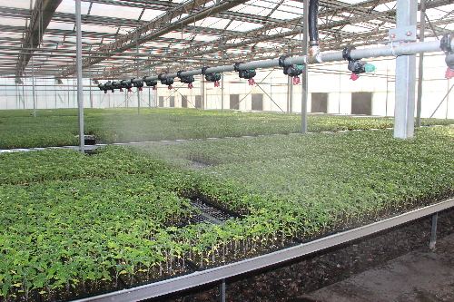 蔬菜大棚自動化設(shè)備